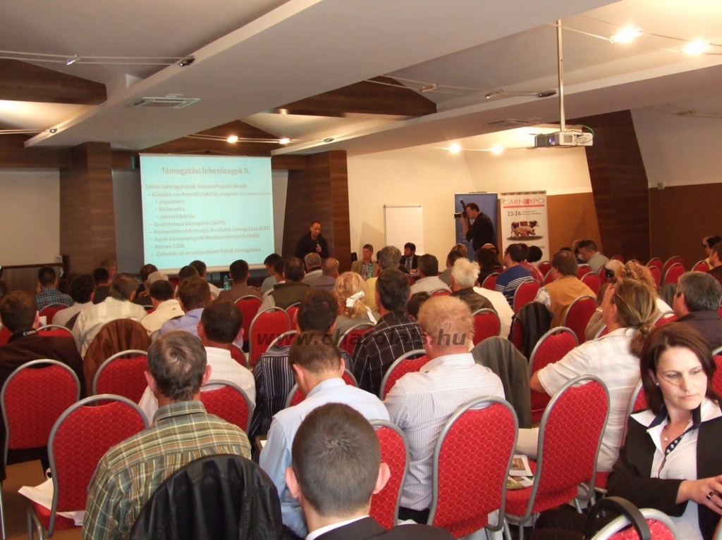 Kovászna 2013